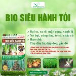 Bio Siêu Hành Tỏi – Phân Bón Hỗn Hợp