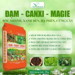 Đạm Canxi Magie – Phân Bón Đa Năng Cho Mọi Cây Trồng