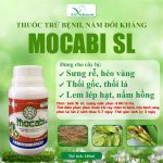 Mocabi Nano 240ml – Thuốc Trừ Bệnh Nấm Đối Kháng