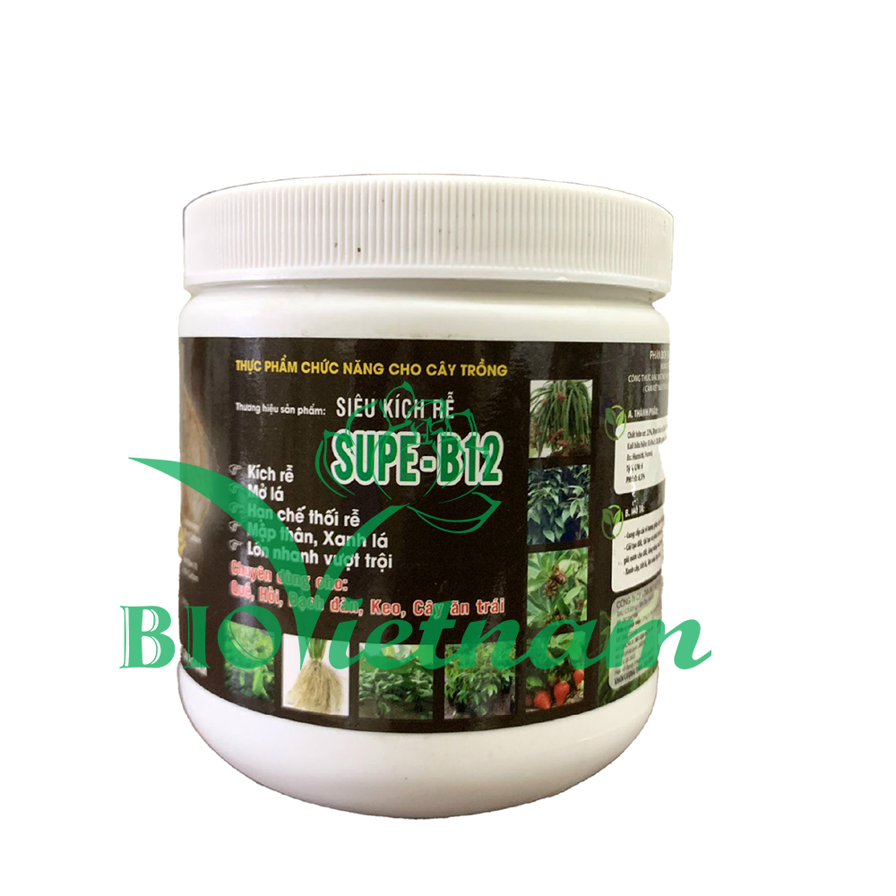 Siêu Kích Rễ Supe B12 – Phân Bón Sinh Học Andu Bio