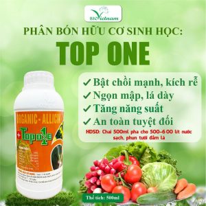 Top One Organic Allicin – Bổ Sung NPK - Funvic 20-28-5 TE