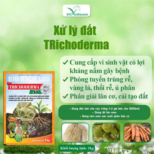 Trichoderma NT – Chế Phẩm Vi Sinh Vật Phân Giải Xenlulo