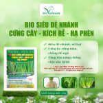 Bio Siêu Đẻ Nhánh – Cứng Cây, Kích Rễ, Hạ Phèn