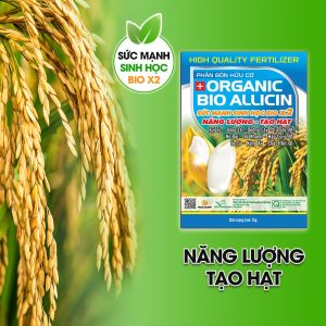 Nhận Diện Organic Bio Allicin Chính Hiệu