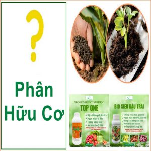 Ưu Điểm Của Phân Bón Hữu Cơ So Với Phân Bón Hóa Học