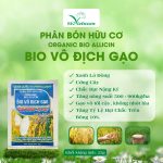 Bio Vô Địch Gạo – Cứng Cây – Xanh Lá Đòng – Hạt Chắc Tới Cậy