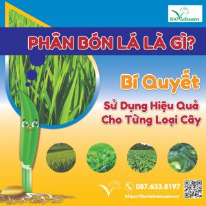 Phân Bón Lá Là Gì? Bí Quyết Sử Dụng Hiệu Quả Cho Từng Loại Cây