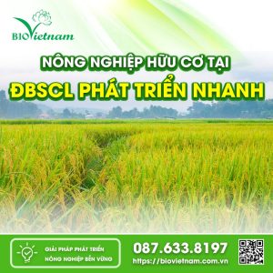 Nông nghiệp hữu cơ tại ĐBSCL phát triển nhanh