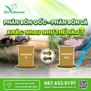 Phân Bón Gốc Và Phân Bón Lá Khác Nhau Như Nào?