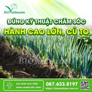 Kỹ Thuật Trồng Và Chăm Sóc Hành Lá