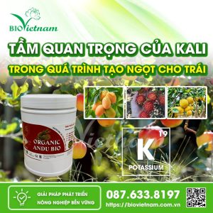 Vai Trò Của Kali Trong Quá Trình Tạo Ngọt Của Trái