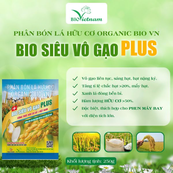 Bio Siêu Vô Gạo Plus – Vô Gạo Liên Tục, Hạt Mẩy, Chắc Hạt