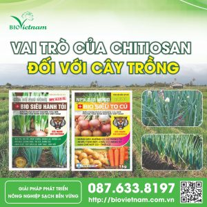 Tác dụng tuyệt vời của Chitosan đối với cây trồng