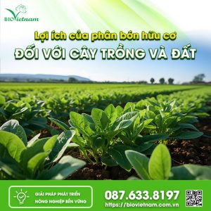 Lợi Ích Của Phân Bón Hữu Cơ Đối Với Cây Trồng Và Đất