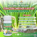 Bio Siêu Đẻ Nhánh Dạng Chai – Công Thức Sinh Học Cao Cấp