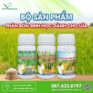 Phân Bón Sinh Học Bio Việt Nam