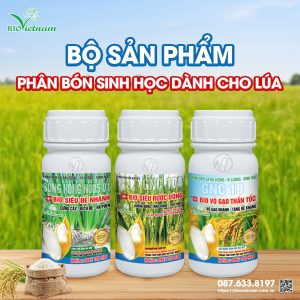 Bio Việt Nam Ra Mắt Bộ Sản Phẩm Phân Bón Sinh Học Dành Cho Lúa