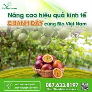 Nâng Cao Hiệu Quả Kinh Tế Chanh Dây Cùng Bio Việt Nam