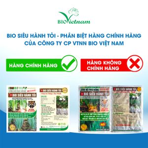 Phân Biệt Hàng Không Chính Hãng Bio Siêu Hành Tỏi