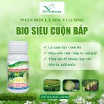 Bio Siêu Cuộn Bắp – Bắp To, Cuộn Chặt, Nặng Ký