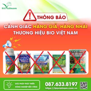 Bio Việt Nam Cảnh Báo Sản Phẩm Hàng Giả – Hàng Nhái