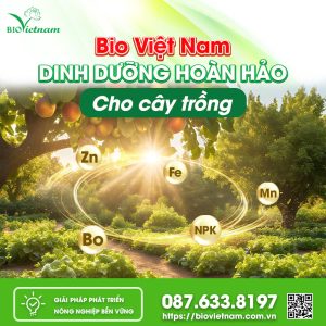 Bio Việt Nam – Dinh Dưỡng Hoàn Hảo Cho Cây Trồng