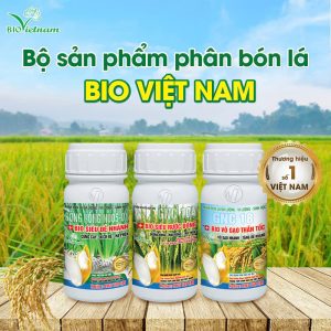 Phân Bón Bio Việt Nam – Bí Kíp Vàng Cho Vụ Mùa Thắng Lợi