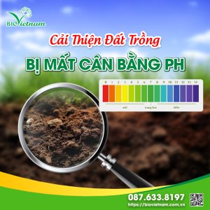 Cải Thiện Độ pH Đất Trồng