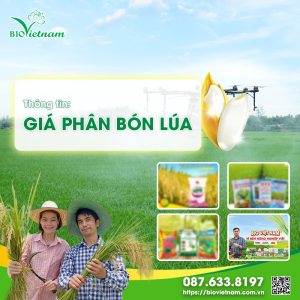 [CẬP NHẬT] giá phân bón cho lúa mới nhất Tháng 12-2024