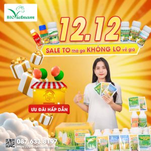 SIÊU SALE 12/12 – SALE TO THẢ GA, KHÔNG LO VỀ GIÁ